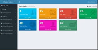 Admin Panel Development for Bihar Businesses